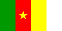 cameroon flag