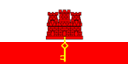 GI flag