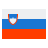 slovenia flag
