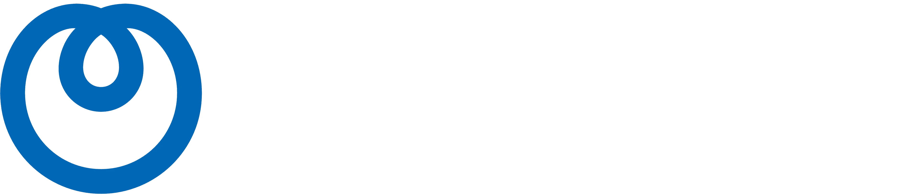 A modern and stylish logo for the NTT group, symbolizing their expertise in technology solutions.