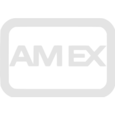 American Express Grey Logo