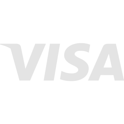 Visa Grey Logo